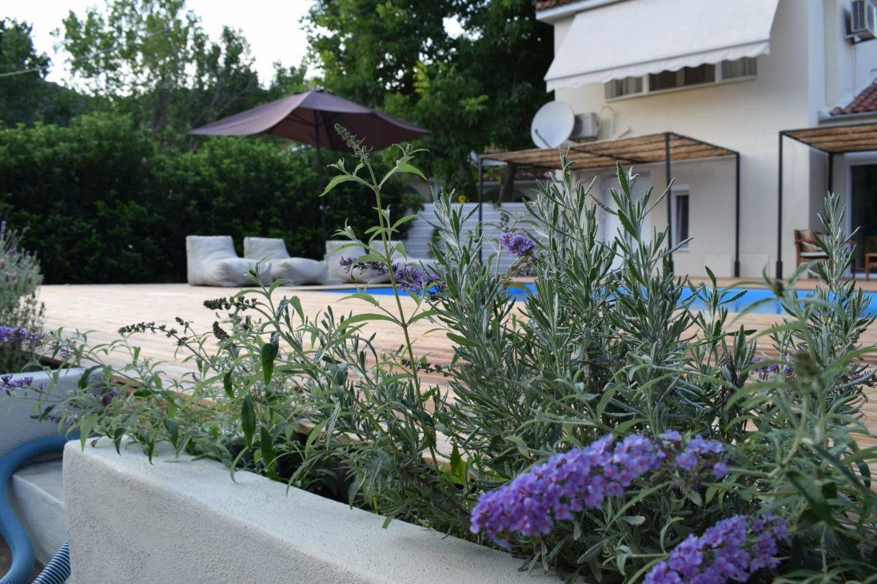 Serenity Luxury Villa, Skiathos Agia Paraskevi  Exterior photo